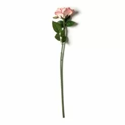 Discount ???? 6 Pack: Blush Rose Stem by Ashland® ???? -Ashland Sales MP626864 21