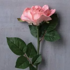Discount ???? 6 Pack: Blush Rose Stem by Ashland® ???? -Ashland Sales MP626864 22