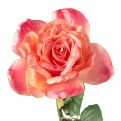 Promo ???? 6 Pack: Pink Rose Stem by Ashland® ???? -Ashland Sales MP626868 20