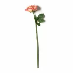 Promo ???? 6 Pack: Pink Rose Stem by Ashland® ???? -Ashland Sales MP626868 21