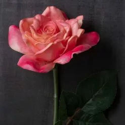 Promo ???? 6 Pack: Pink Rose Stem by Ashland® ???? -Ashland Sales MP626868 22