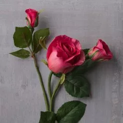 Best Sale ???? 6 Pack: Fuchsia Rose Spray by Ashland® ???? -Ashland Sales MP626878 22