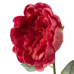 Best reviews of ???? 6 Pack: Fuchsia Peony Stem by Ashland® ???? 11 Best reviews of ???? 6 Pack: Fuchsia Peony Stem by Ashland® ???? -Ashland Sales MP626892 20