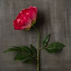 Best reviews of ???? 6 Pack: Fuchsia Peony Stem by Ashland® ???? 13 Best reviews of ???? 6 Pack: Fuchsia Peony Stem by Ashland® ???? -Ashland Sales MP626892 25