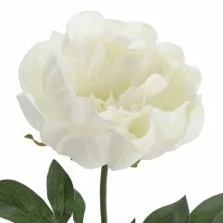Promo ???? 12 Pack: White Peony Stem by Ashland® ???? -Ashland Sales MP626894 2