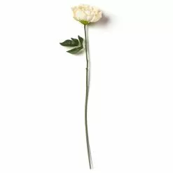Promo ???? 12 Pack: White Peony Stem by Ashland® ???? -Ashland Sales MP626894 21