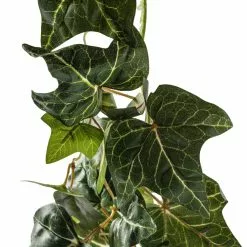 Best reviews of ???? 4 Pack: 6ft. Green English Ivy Garland by Ashland® ???? -Ashland Sales MP626978 20