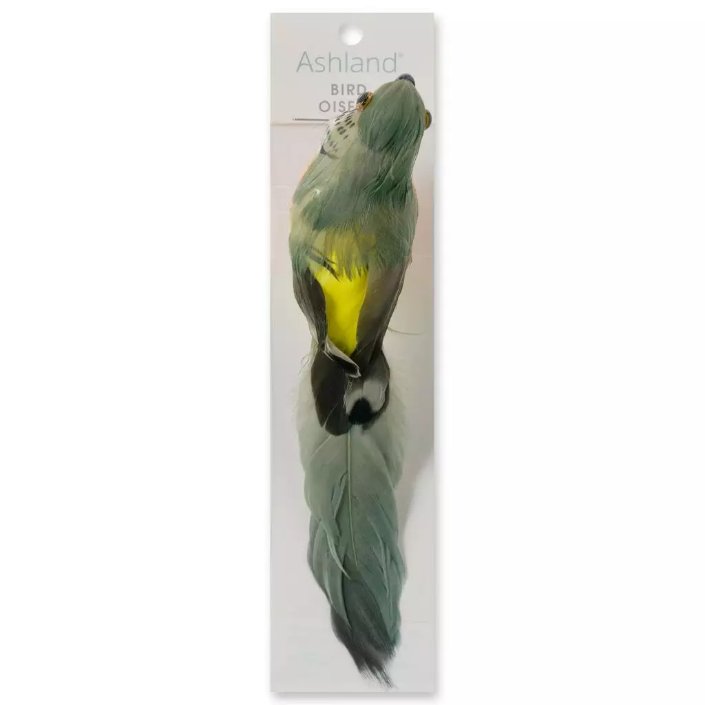 Best reviews of ???? 12 Pack: Assorted Feather Parrots by Ashland® ???? 7 Best reviews of ???? 12 Pack: Assorted Feather Parrots by Ashland® ???? - Image 5