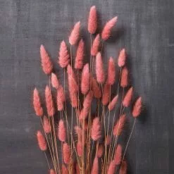 Discount ???? 8 Pack: Assorted Lagurus Bundle by Ashland® ✨ -Ashland Sales MP628609 22