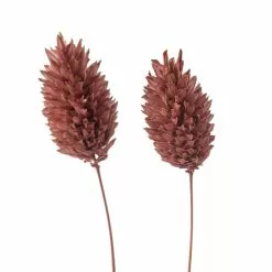 Cheap ???? 6 Pack: Coral Poa Grass Bundle by Ashland® ???? 11 Cheap ???? 6 Pack: Coral Poa Grass Bundle by Ashland® ???? -Ashland Sales MP628612 20