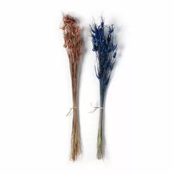Wholesale ⌛ 8 Pack: Assorted Star Grass Bundle by Ashland® ???? -Ashland Sales MP628613 21