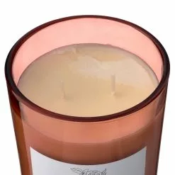 New ???? 8 Pack: Peony & Rose 2-Wick Jar Candle by Ashland® ???? -Ashland Sales MP638399 31