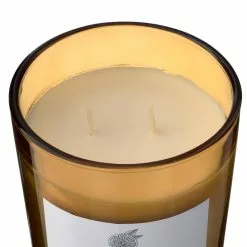 Best reviews of ???? 8 Pack: Grapefruit & Honey 2-Wick Jar Candle by Ashland® ???? -Ashland Sales MP638406 31