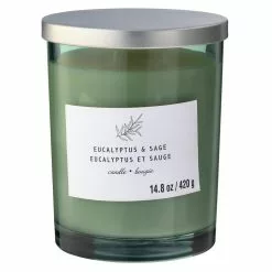 Best deal ❤️ 8 Pack: Eucalyptus & Sage 2-Wick Jar Candle by Ashland® ????