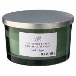 New ???? 8 Pack: Eucalyptus & Sage 3-Wick Jar Candle by Ashland® ????