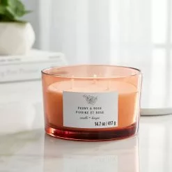 Best deal ???? 8 Pack: Peony & Rose 3-Wick Jar Candle by Ashland® ???? -Ashland Sales MP638413 20